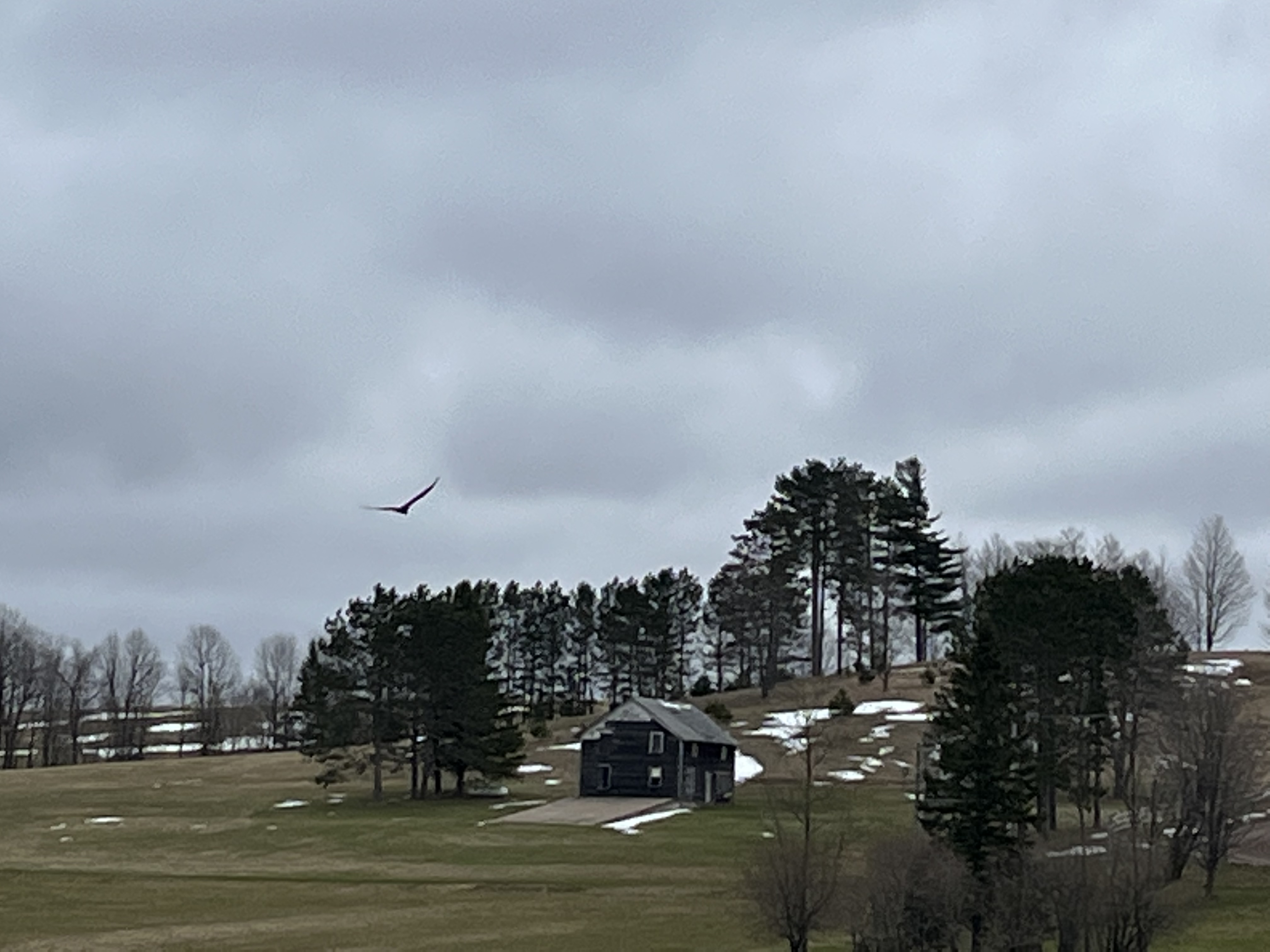 5692F201-2262-485A-9477-6FD195152F4D.jpeg
