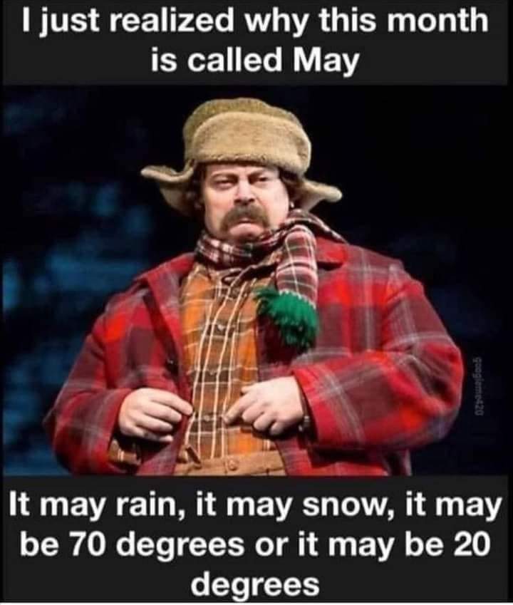 FB_IMG_1683145232645.jpg