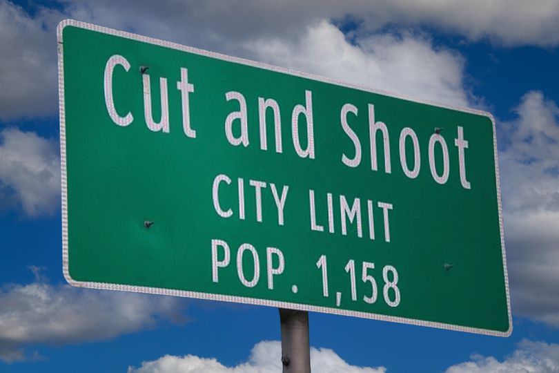 Cut N' Shoot.jpg