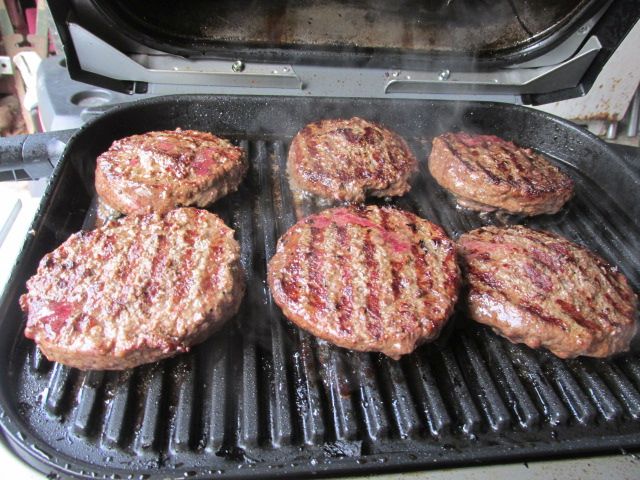 230508 001 grilled on medium 002.jpg