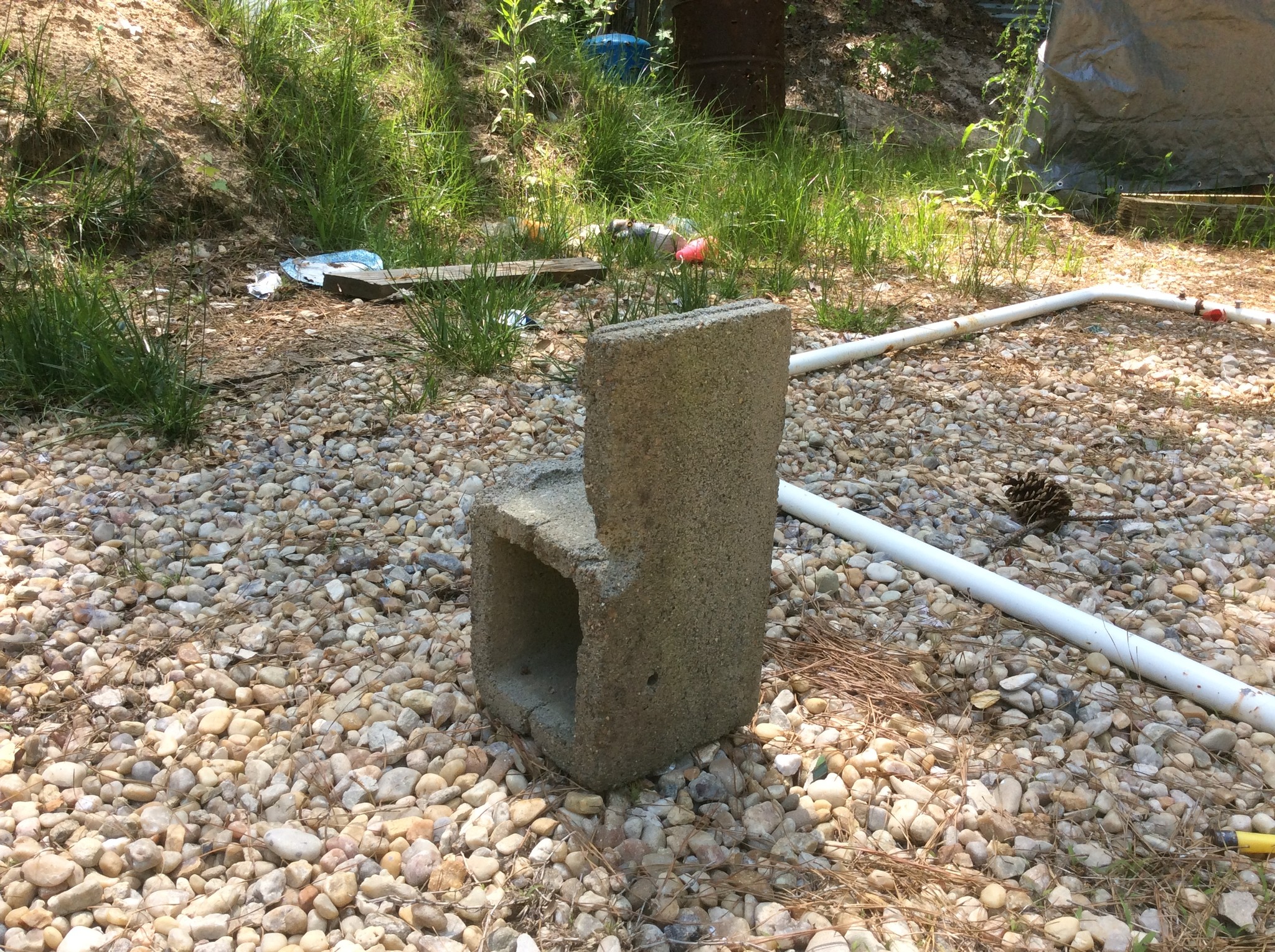 block before 45 colt slammer hit.jpg