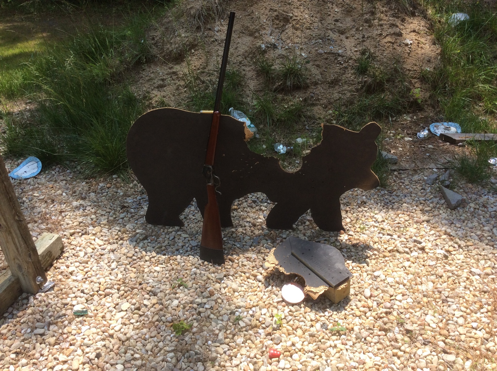 not such thing as a mild plinky load with a 45-70.jpg