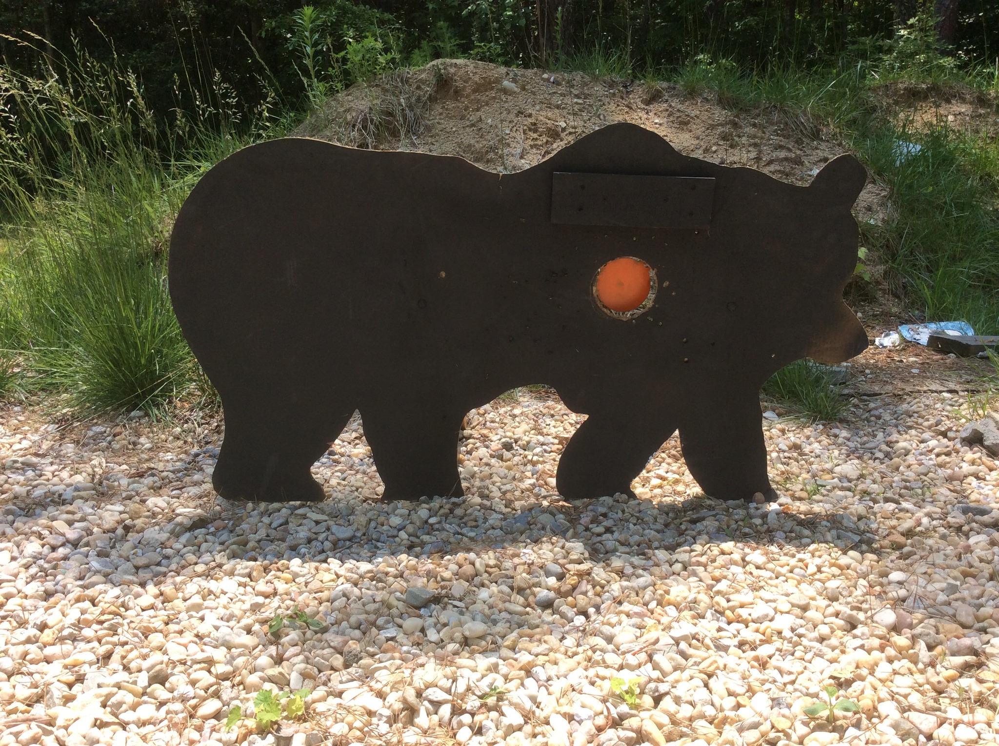 bear target for the 45-70 today.jpg