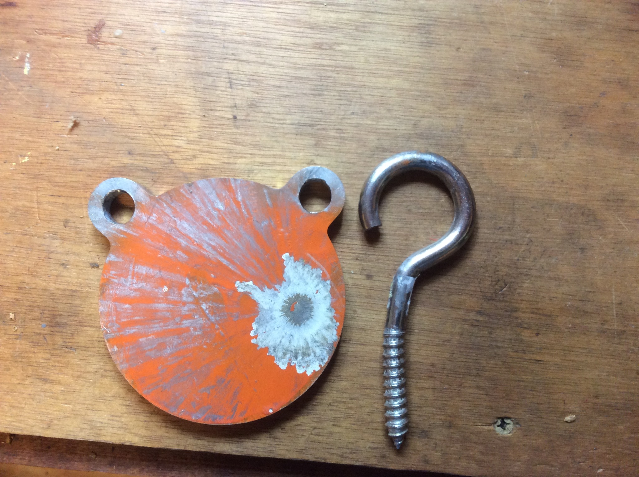 bent hook from 45-70 plinking hit on bear target.jpg