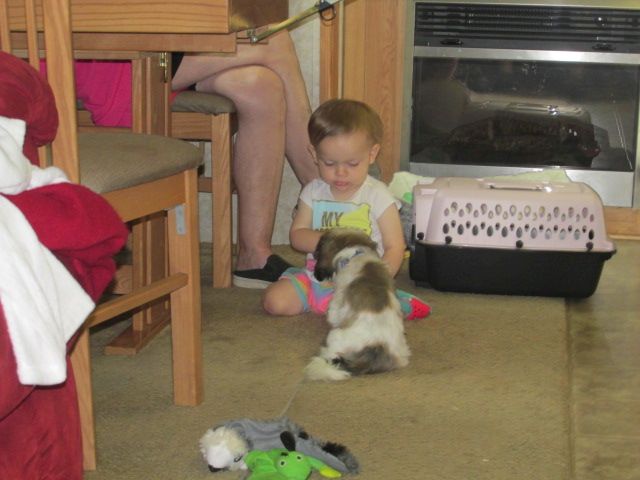 230610 001 baby sitting 003.jpg