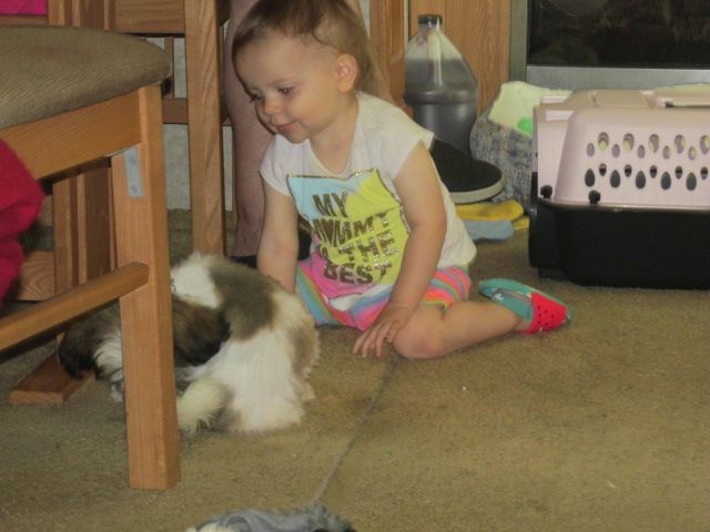 230610 001 baby sitting 002.jpg