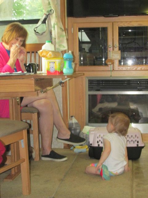 230610 001 baby sitting 001.jpg