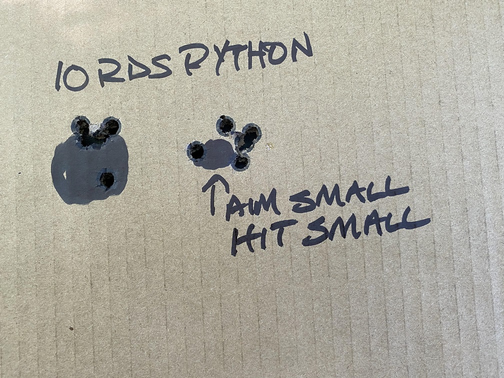 06 Python.jpg