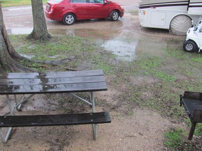 170117 001 rained most all ngith  002.jpg
