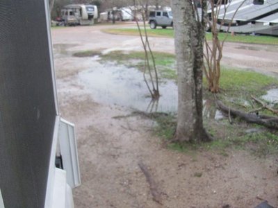 170117 001 rained most all ngith  003.jpg