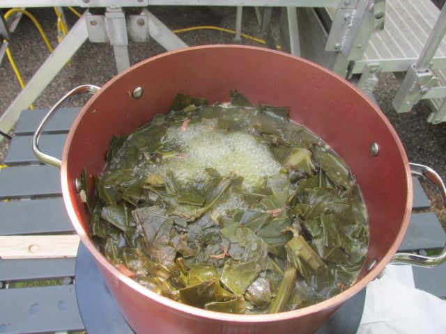 230720 001 In Estelline 001.jpg