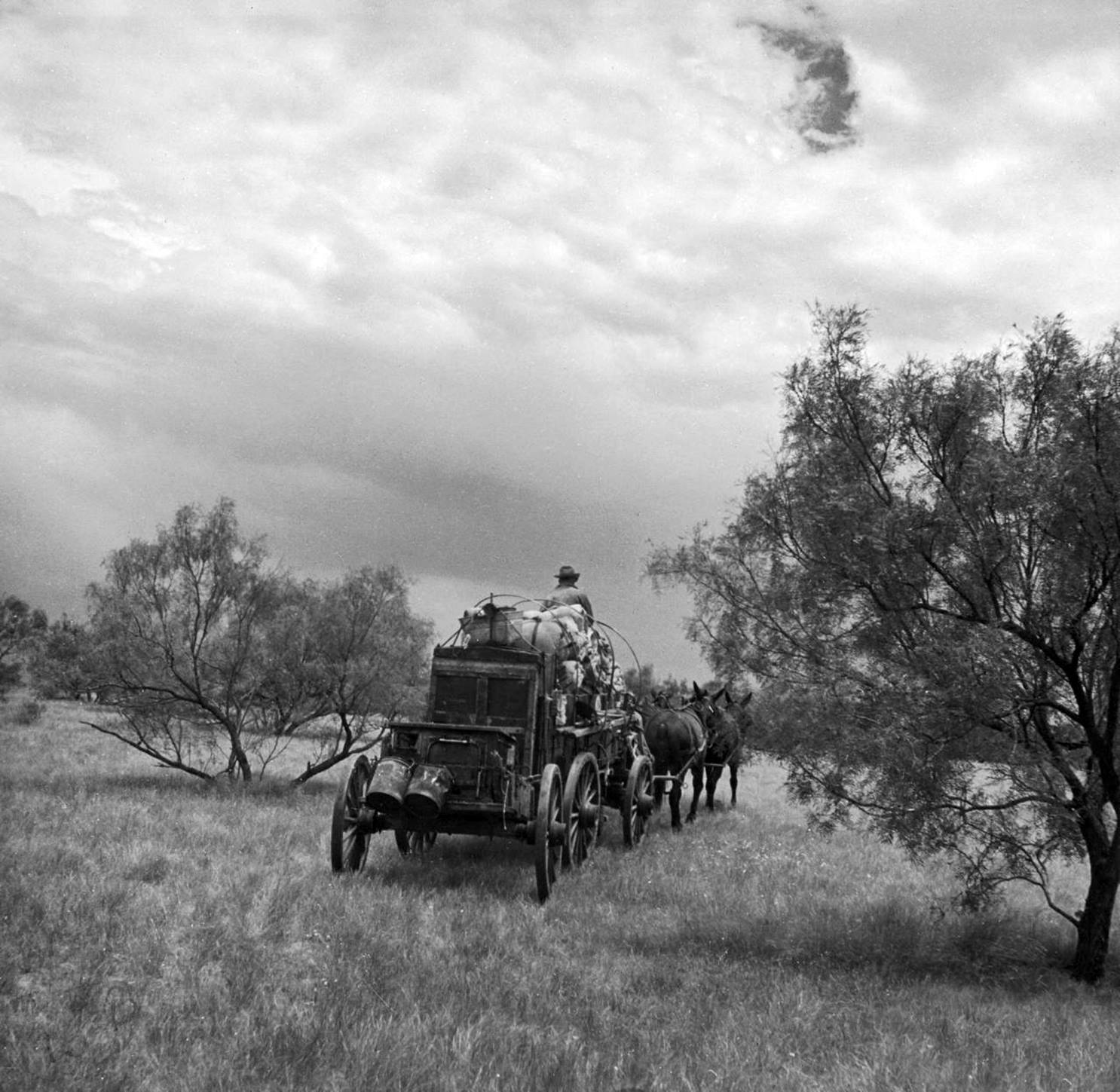 Chuck Wagon.jpg