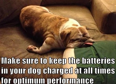 IMG_2718.jpeg