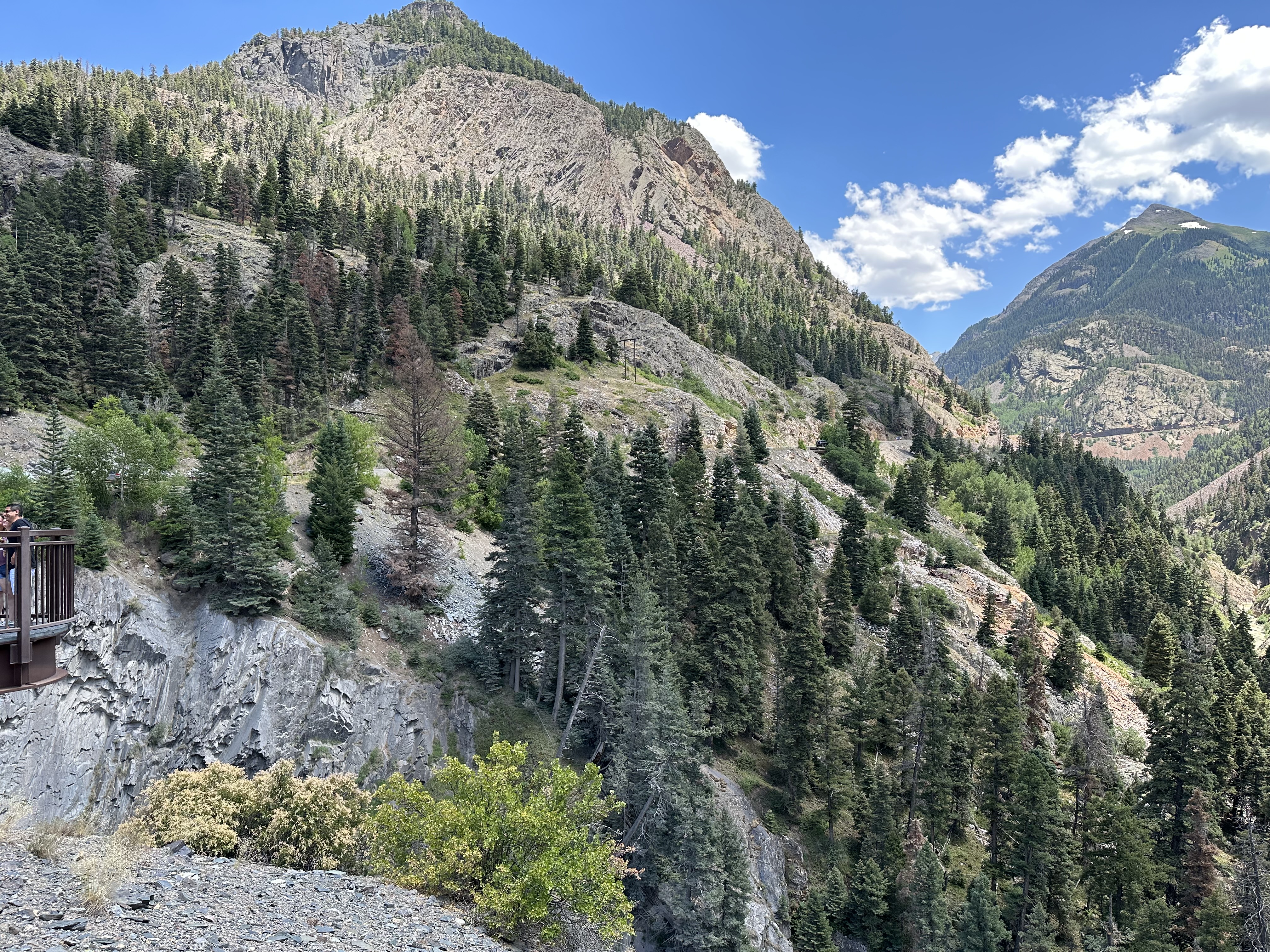 IMG_0039.jpeg