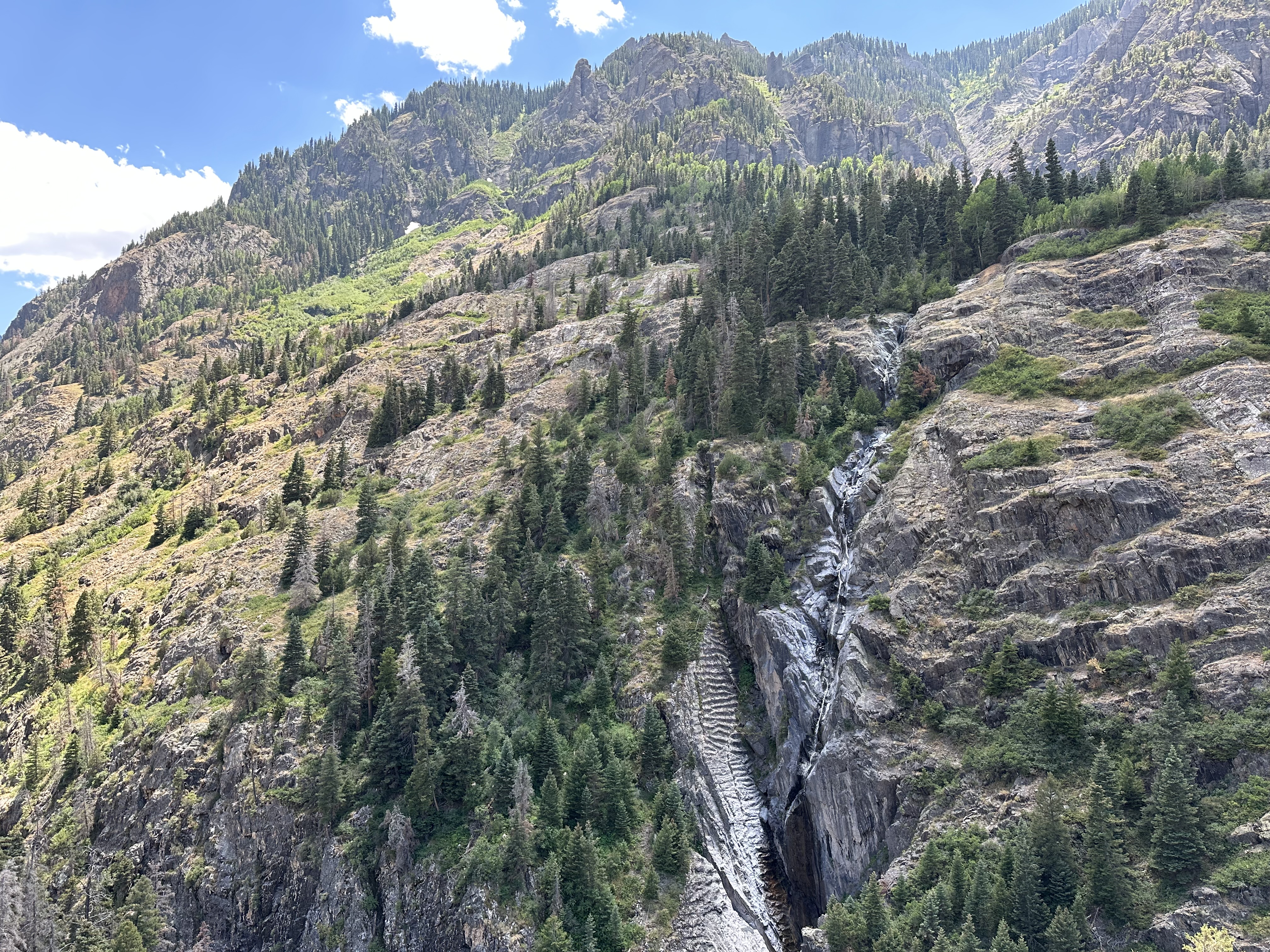 IMG_0037.jpeg