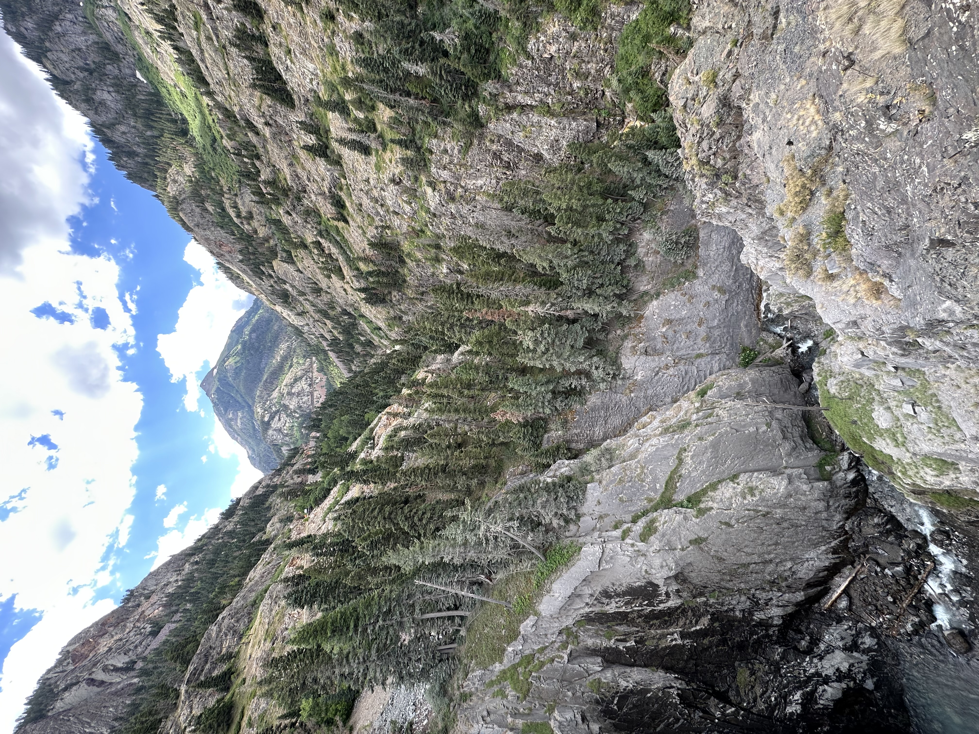 IMG_0042.jpeg