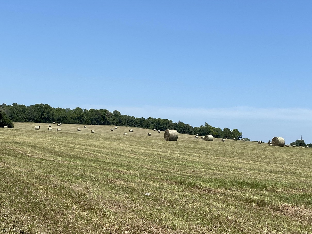 16 drying bales.jpg