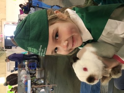 Alyson_bunny_1701.jpg