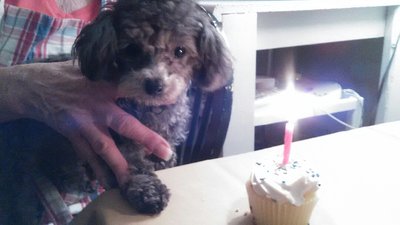 IMG_20170119_180341.jpg