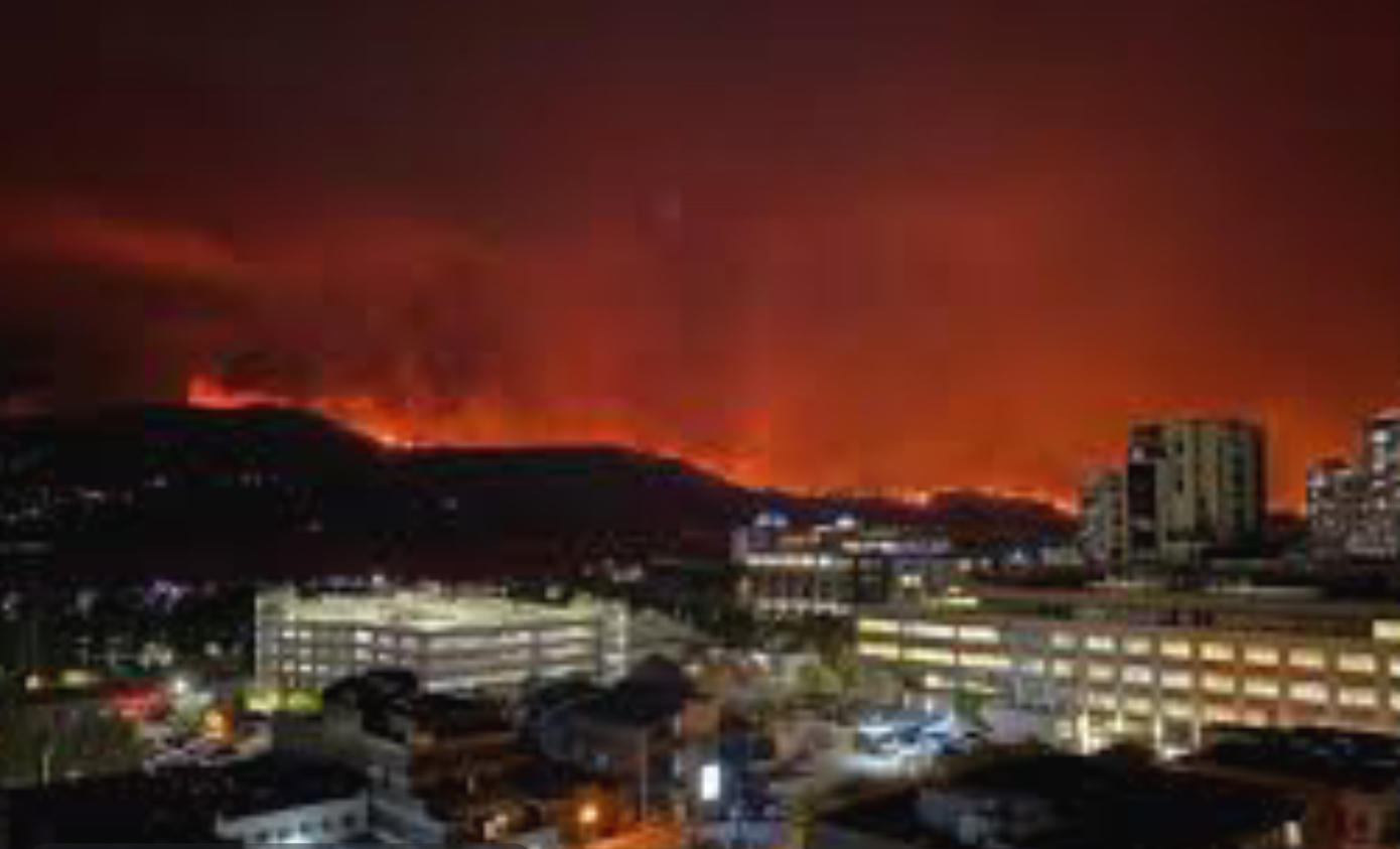 84303814-9CC6-4B74-A7A9-AF07A2D16D6A.jpeg