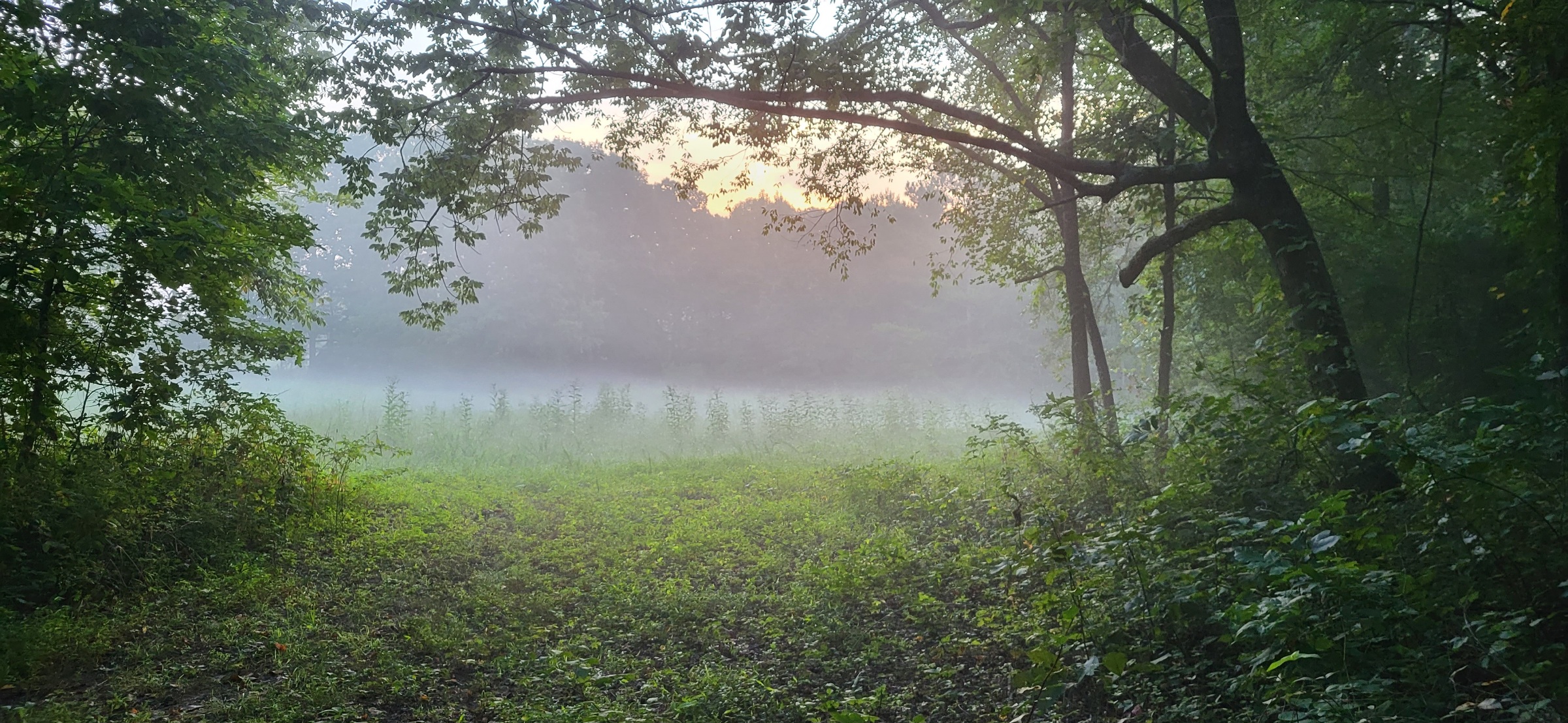20230822_062739.jpg