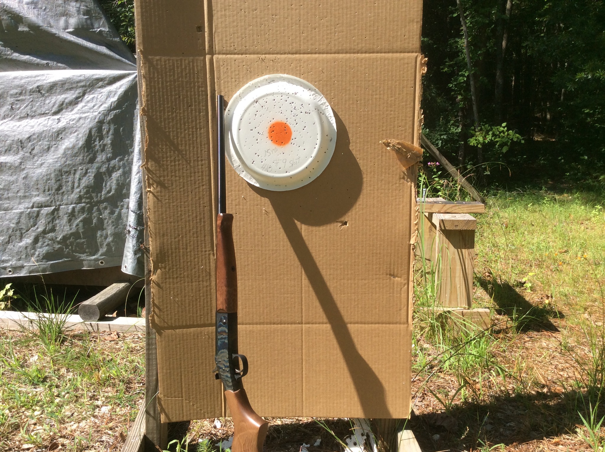 Pardner 410 shot well today with a nice trigger.jpg