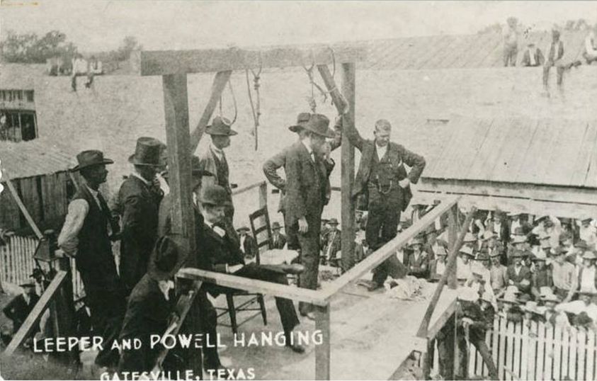 Hanging.jpg