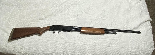 510e.jpg