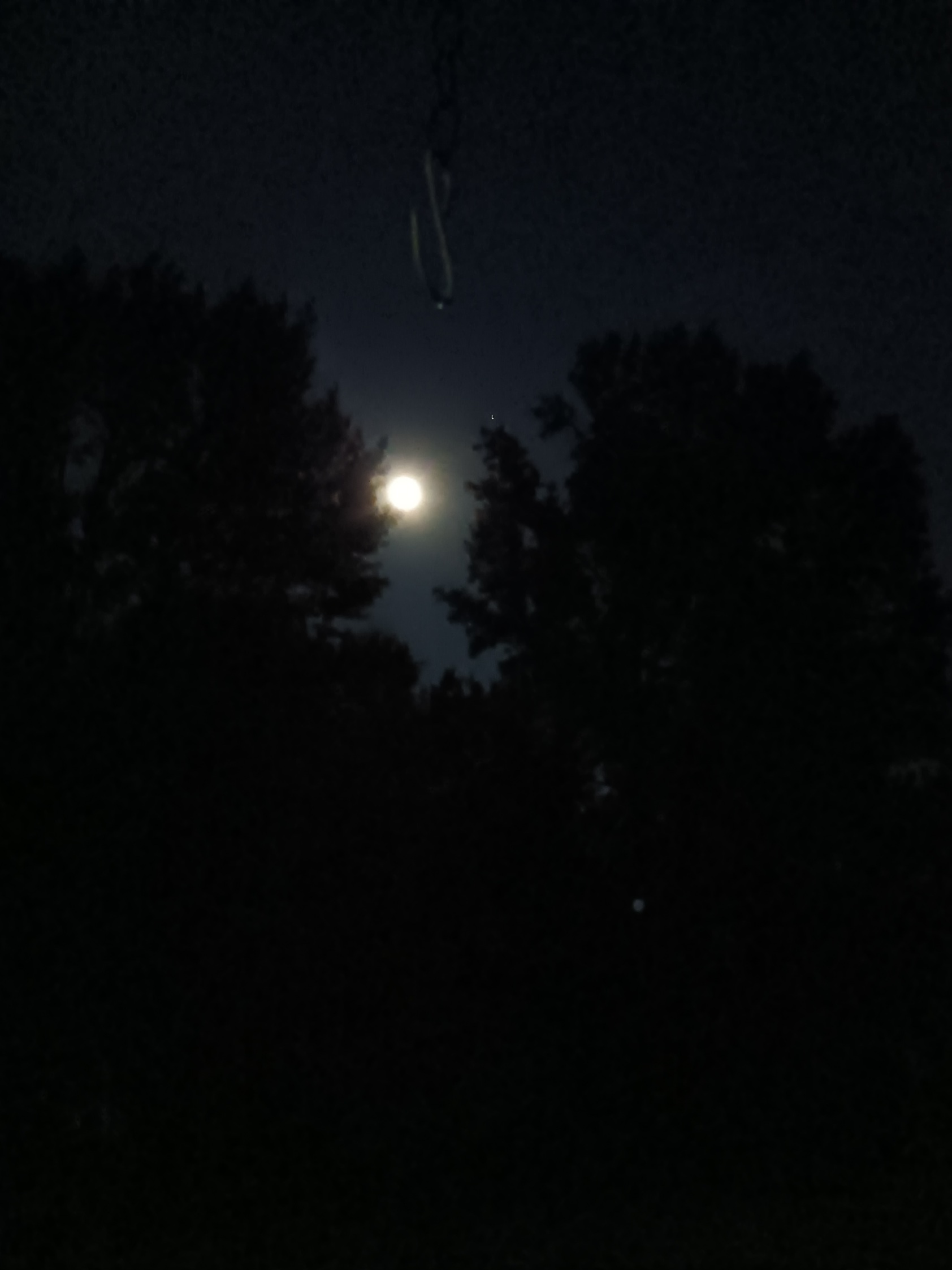 20230830_222247.jpg