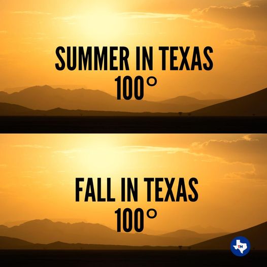 summer fall.jpg