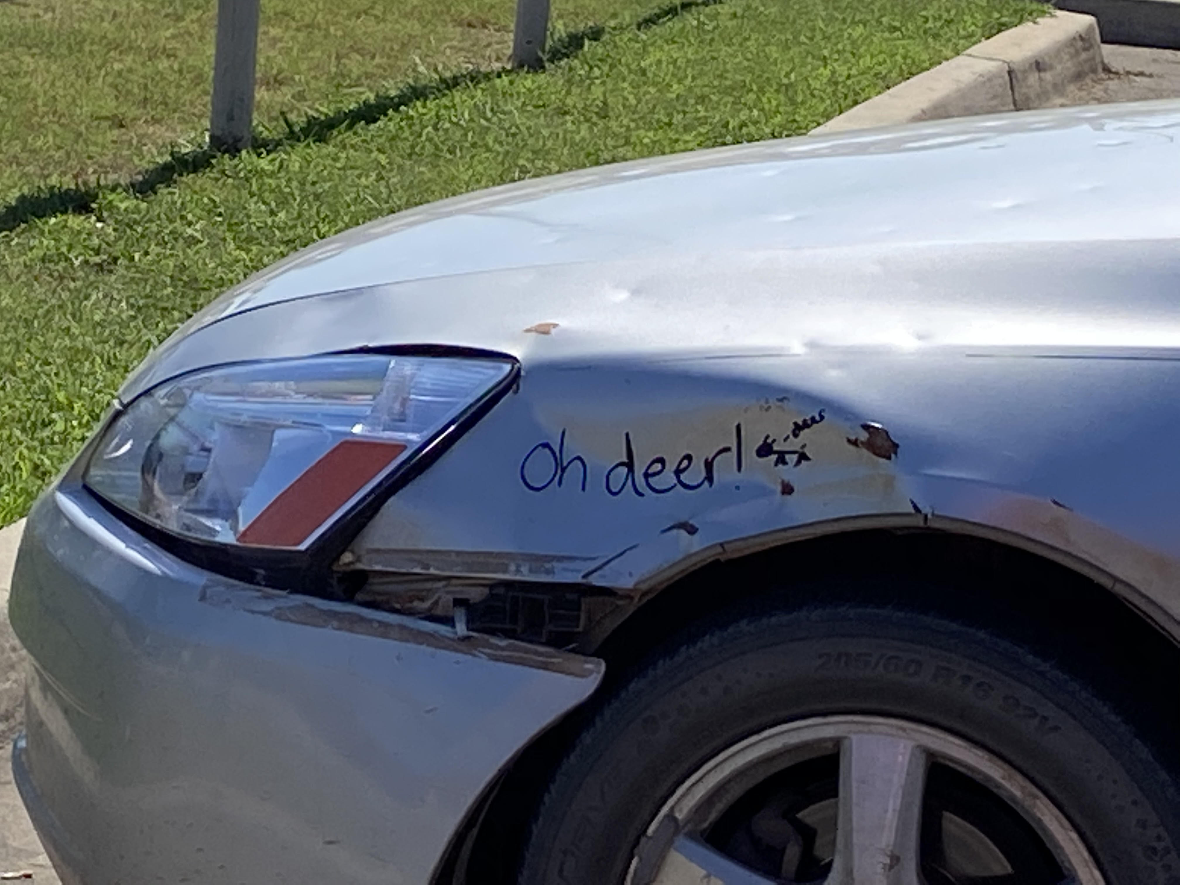seen in Mcd lot.jpg