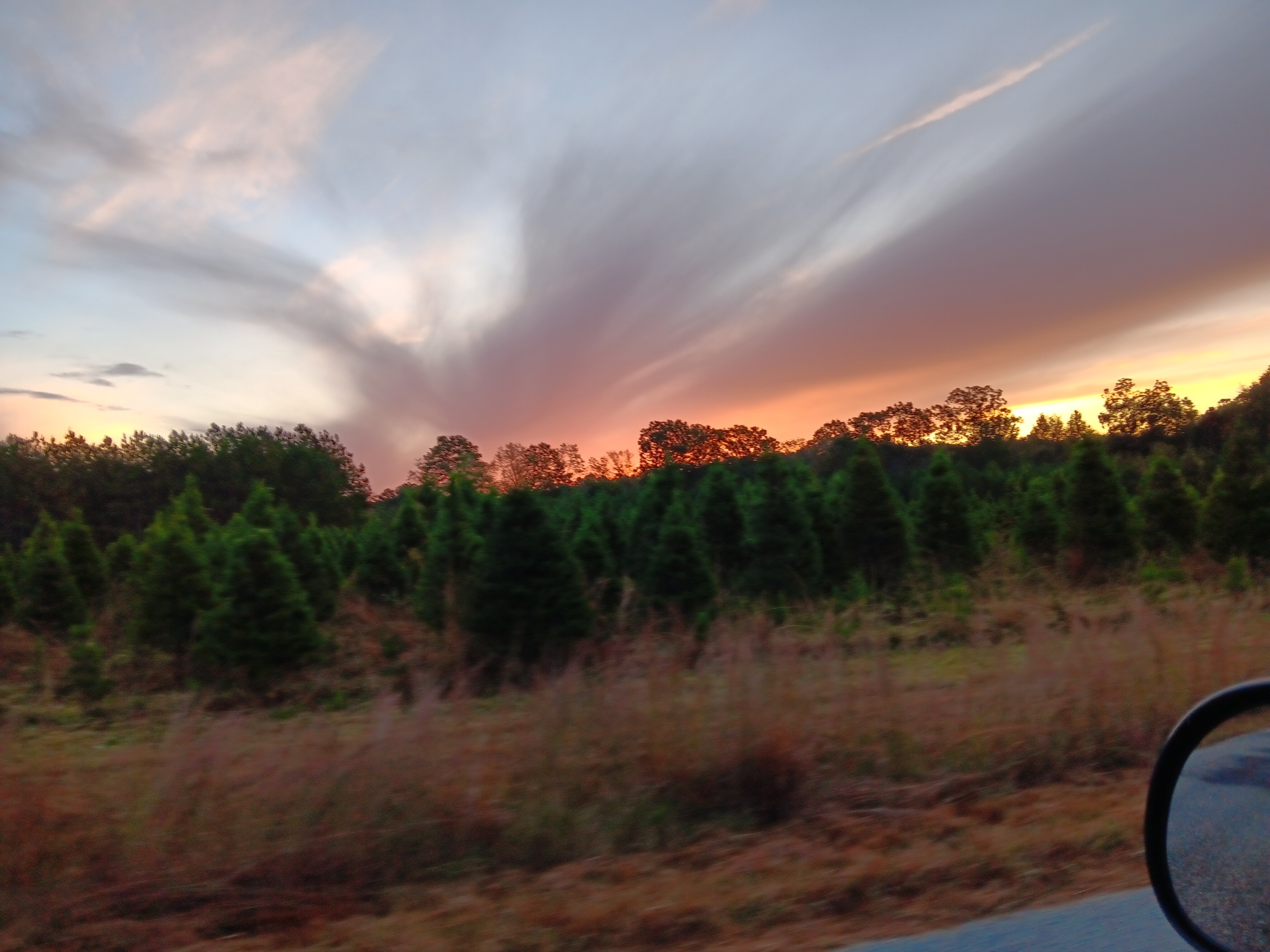 20231016_070447.jpg