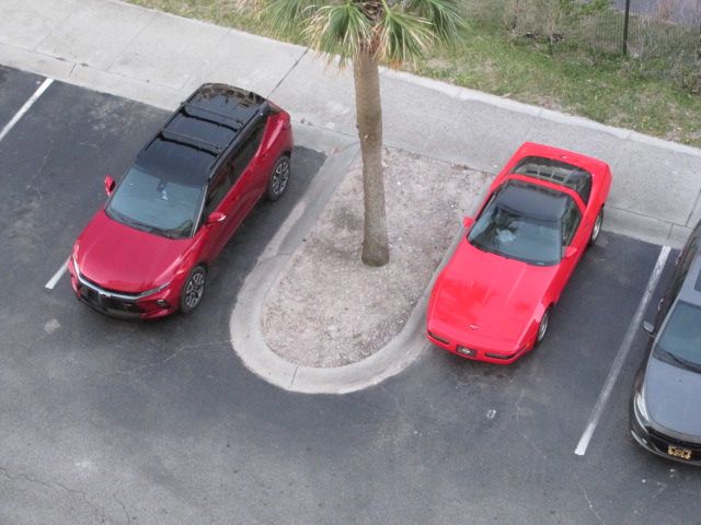 241015 002 from our room 007.jpg
