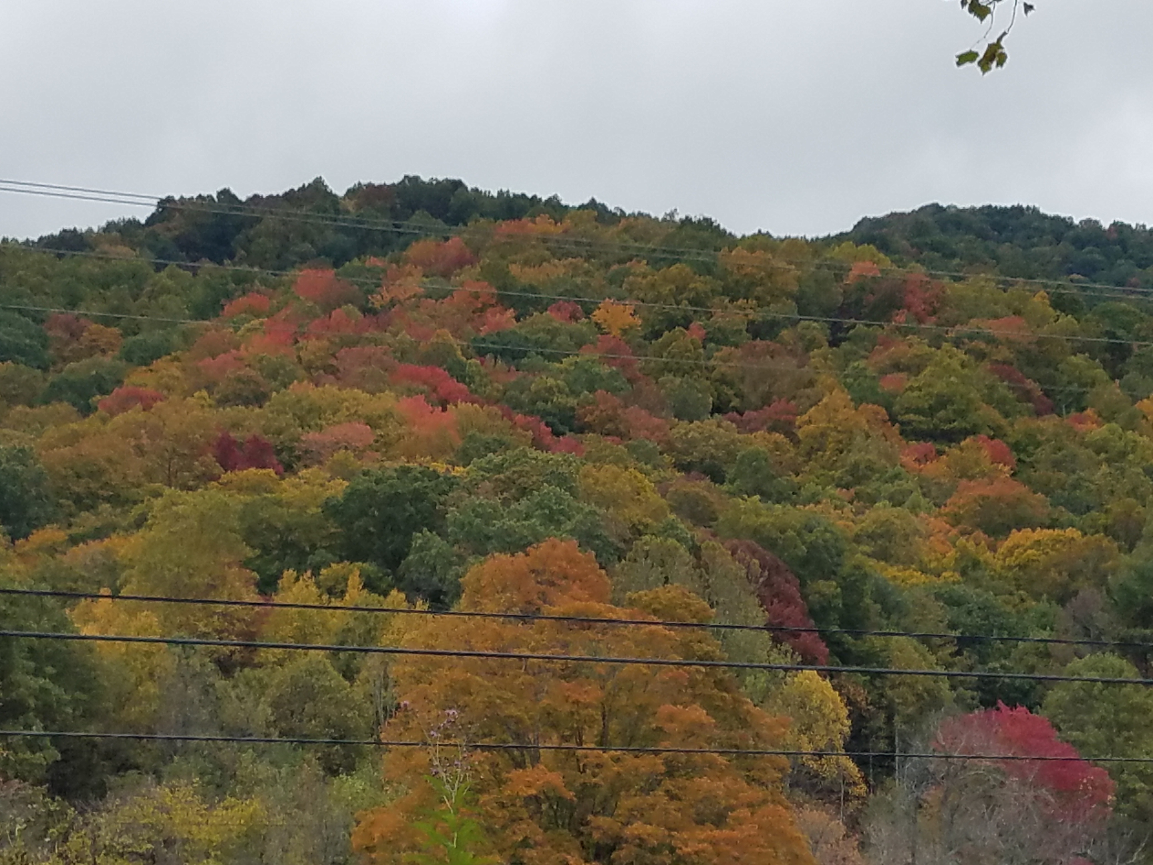 20231017_161528.jpg