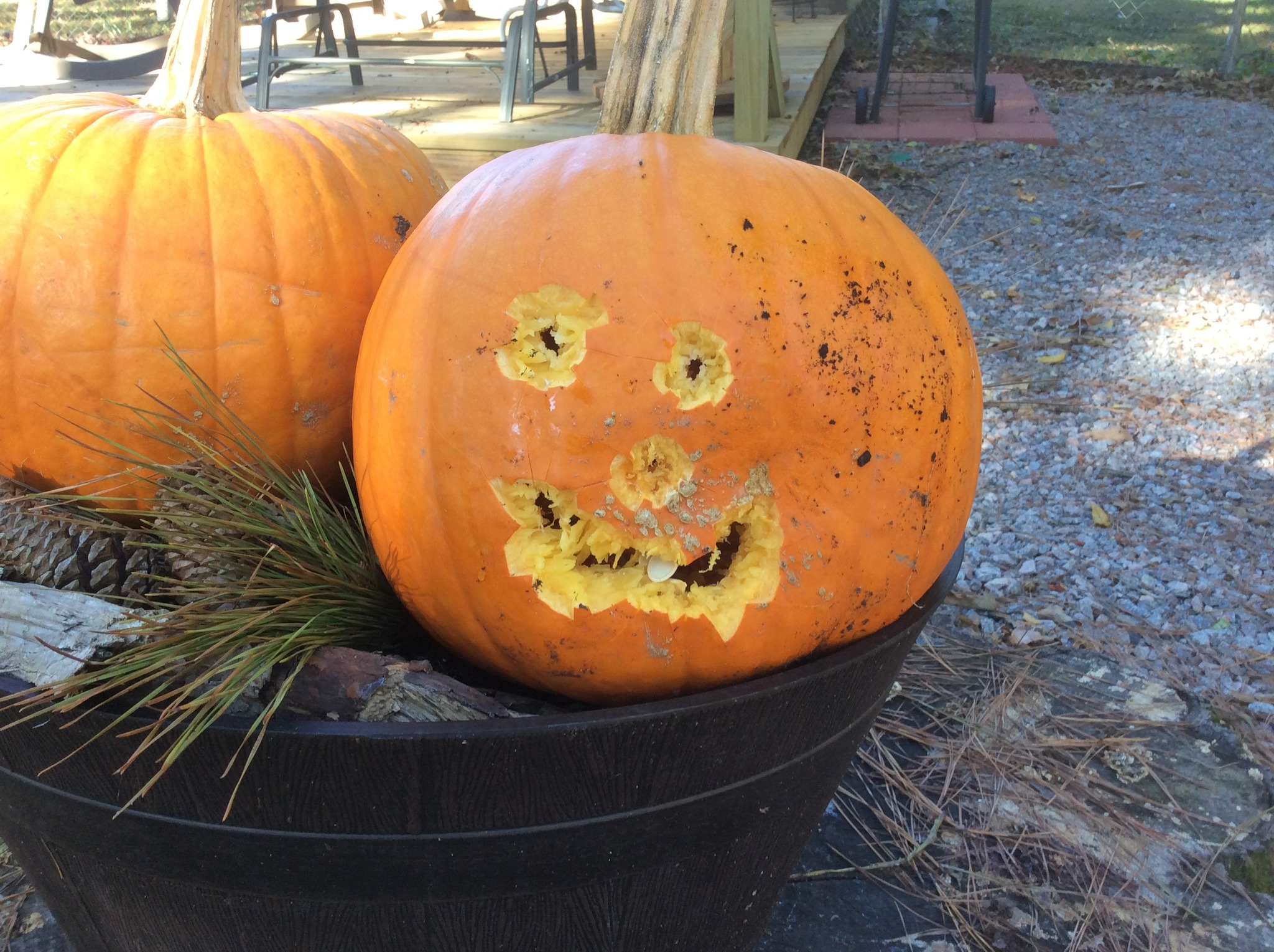 backside of Anaconda 44 Mag pumpkin.jpg