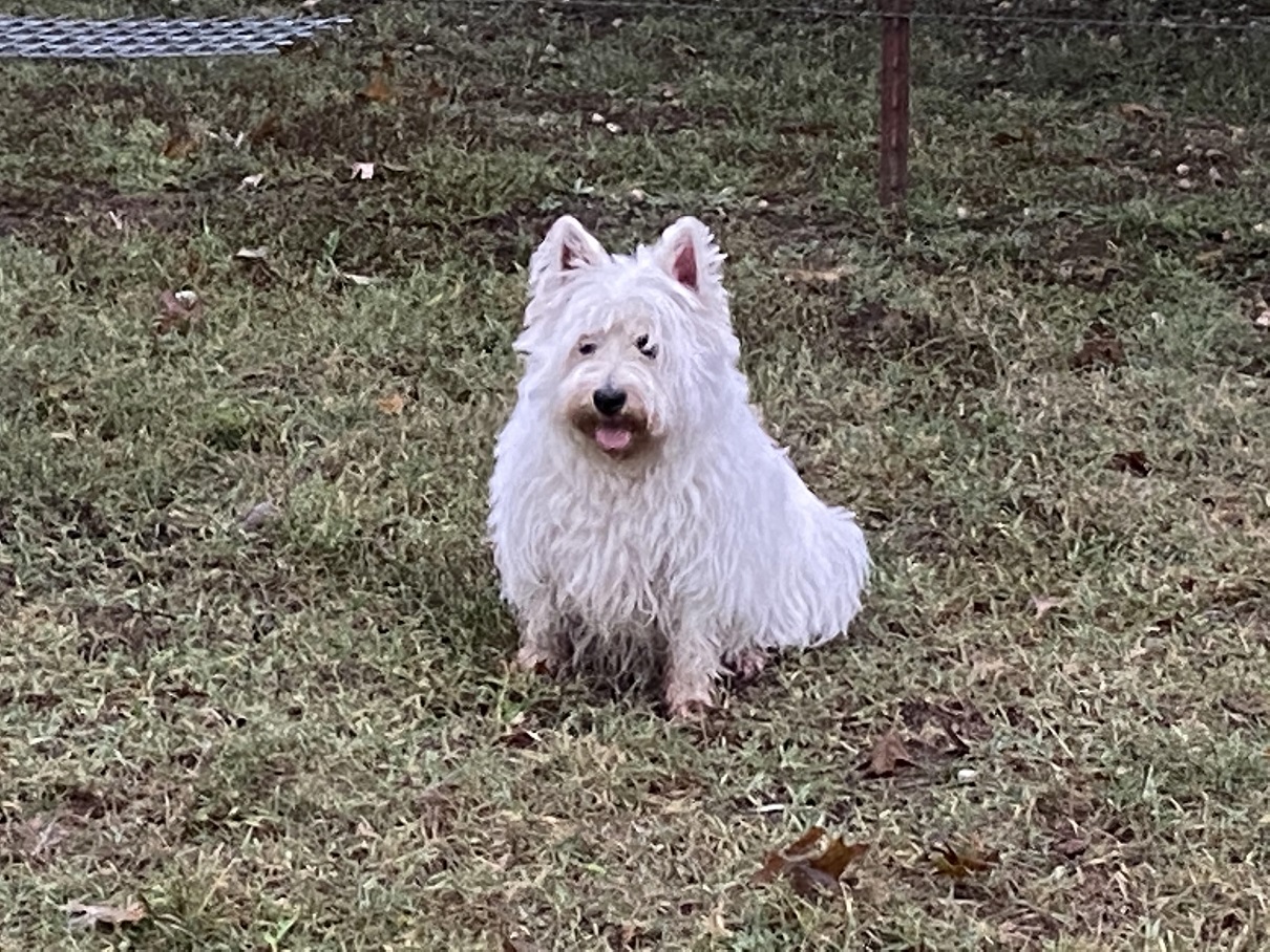 Sister Fiona 231025.jpg