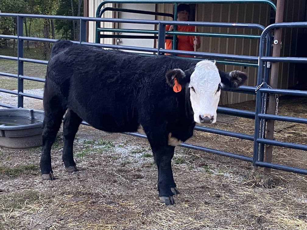 sister stormy 231026.jpg