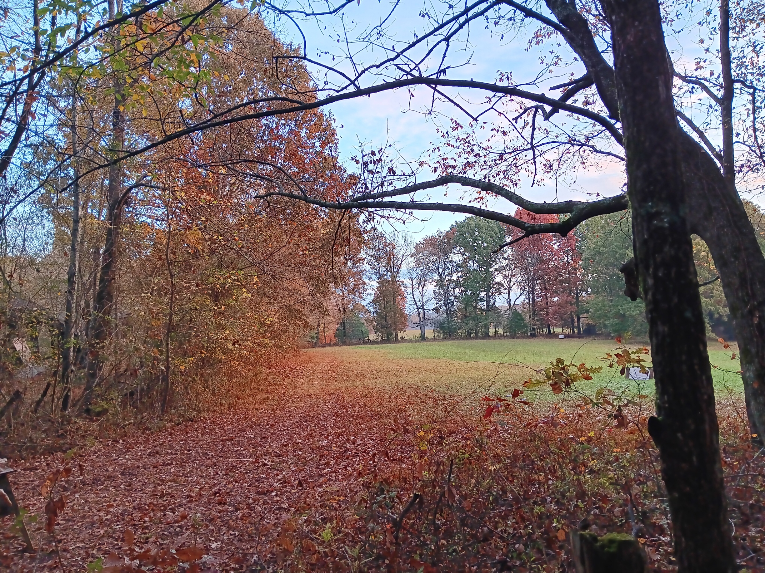 20231028_071026.jpg