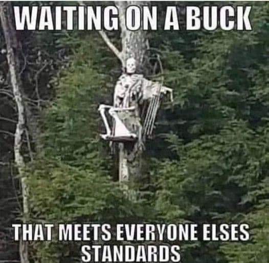FB_IMG_1698806998667.jpg