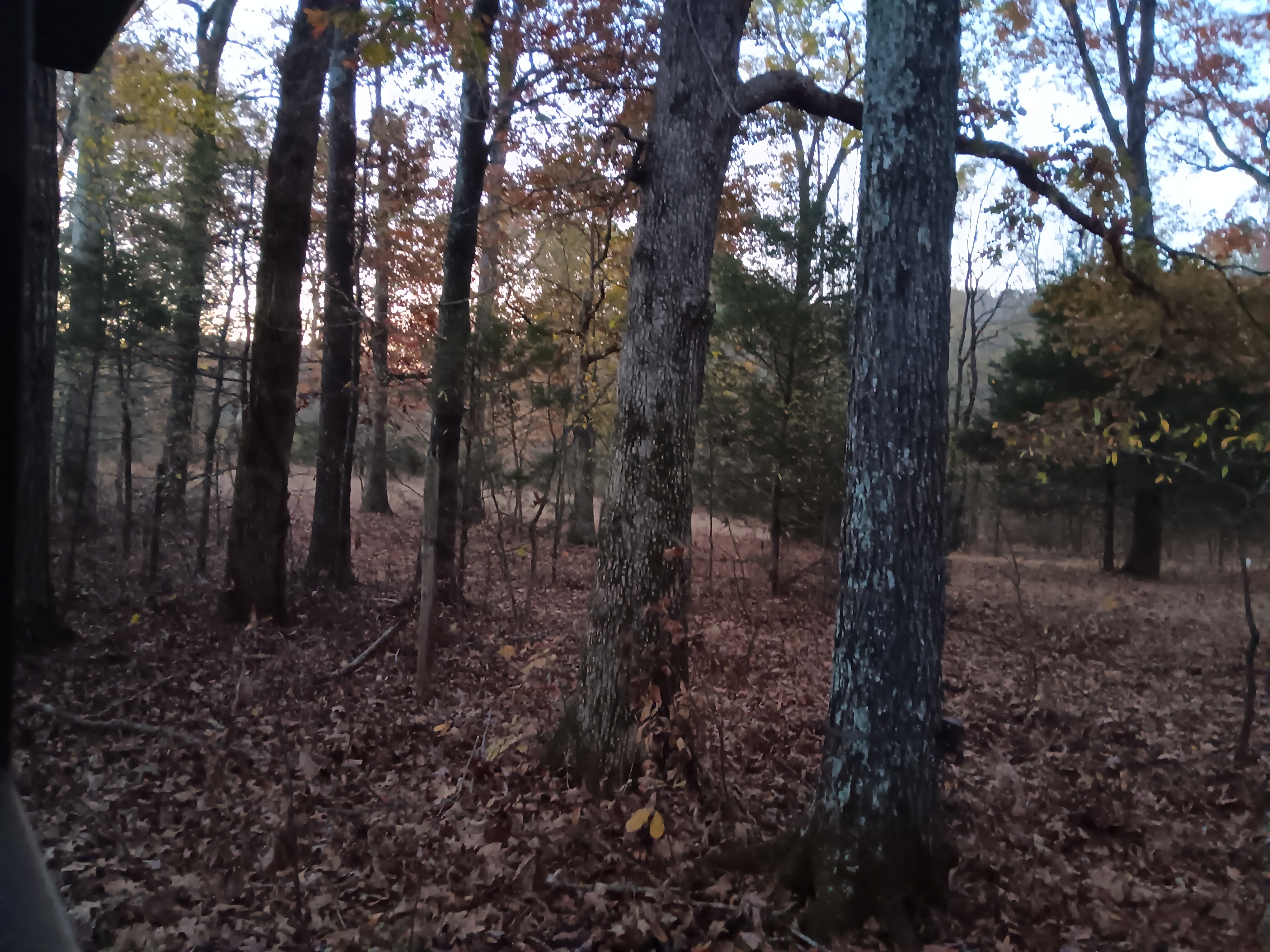 20231107_060537.jpg