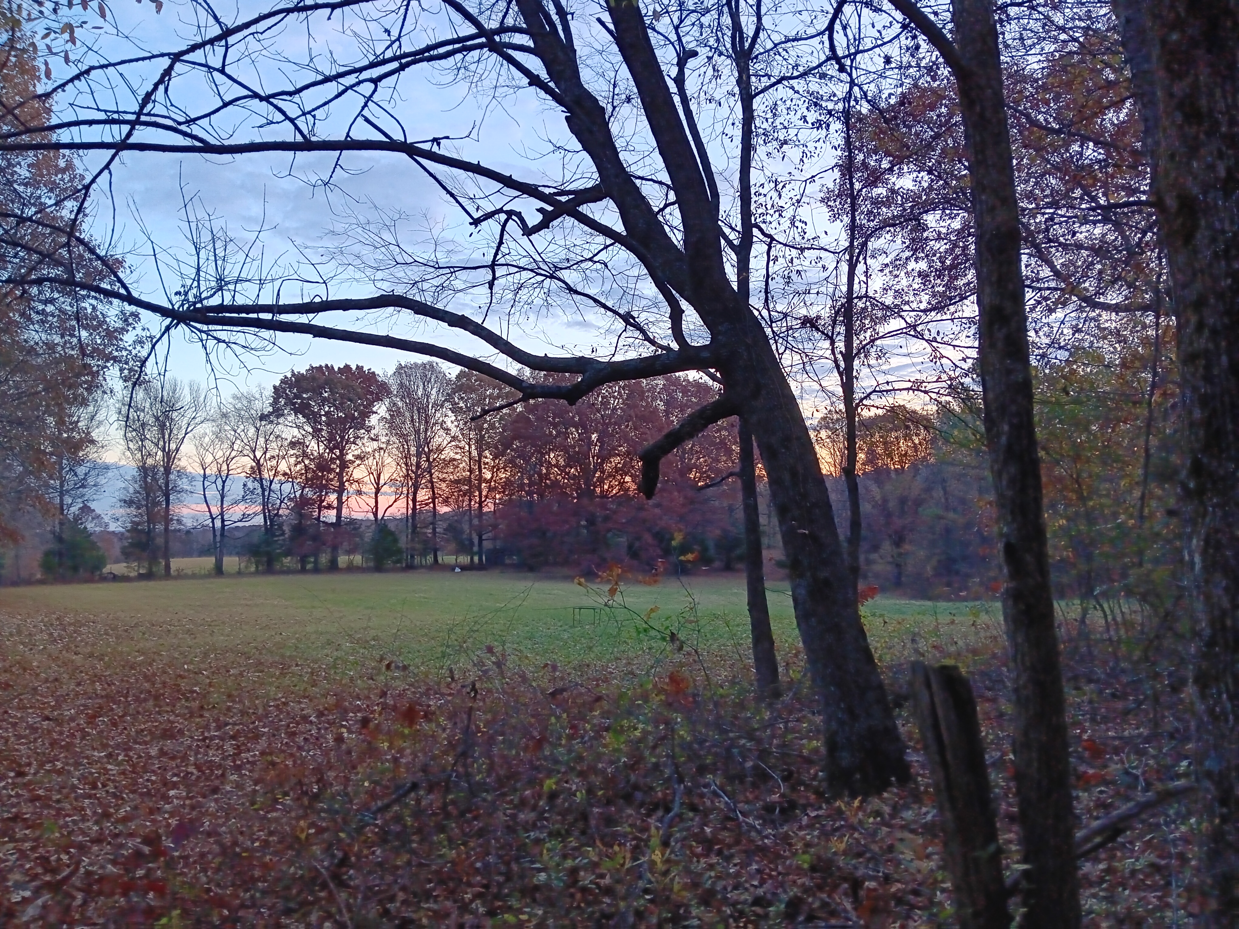 20231112_061706.jpg