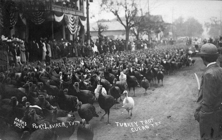 Turkey Trot.jpg