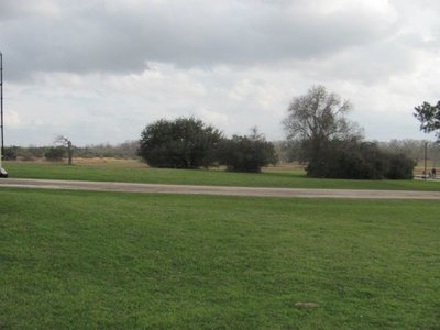170206 002 view from our site 002.jpg