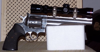 Ruger Redhawk  41 Mag1.JPG