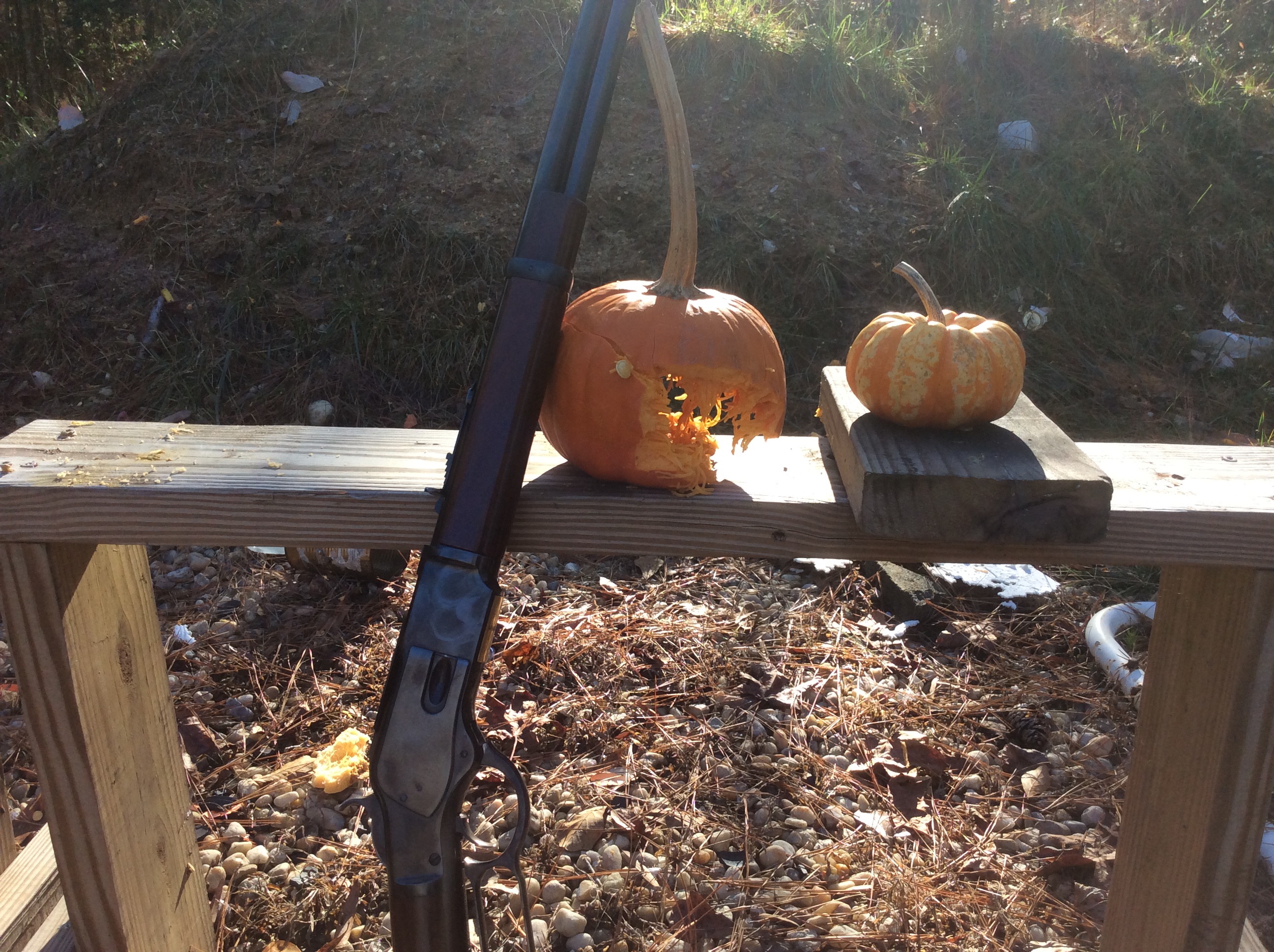 44 Mag hit another view