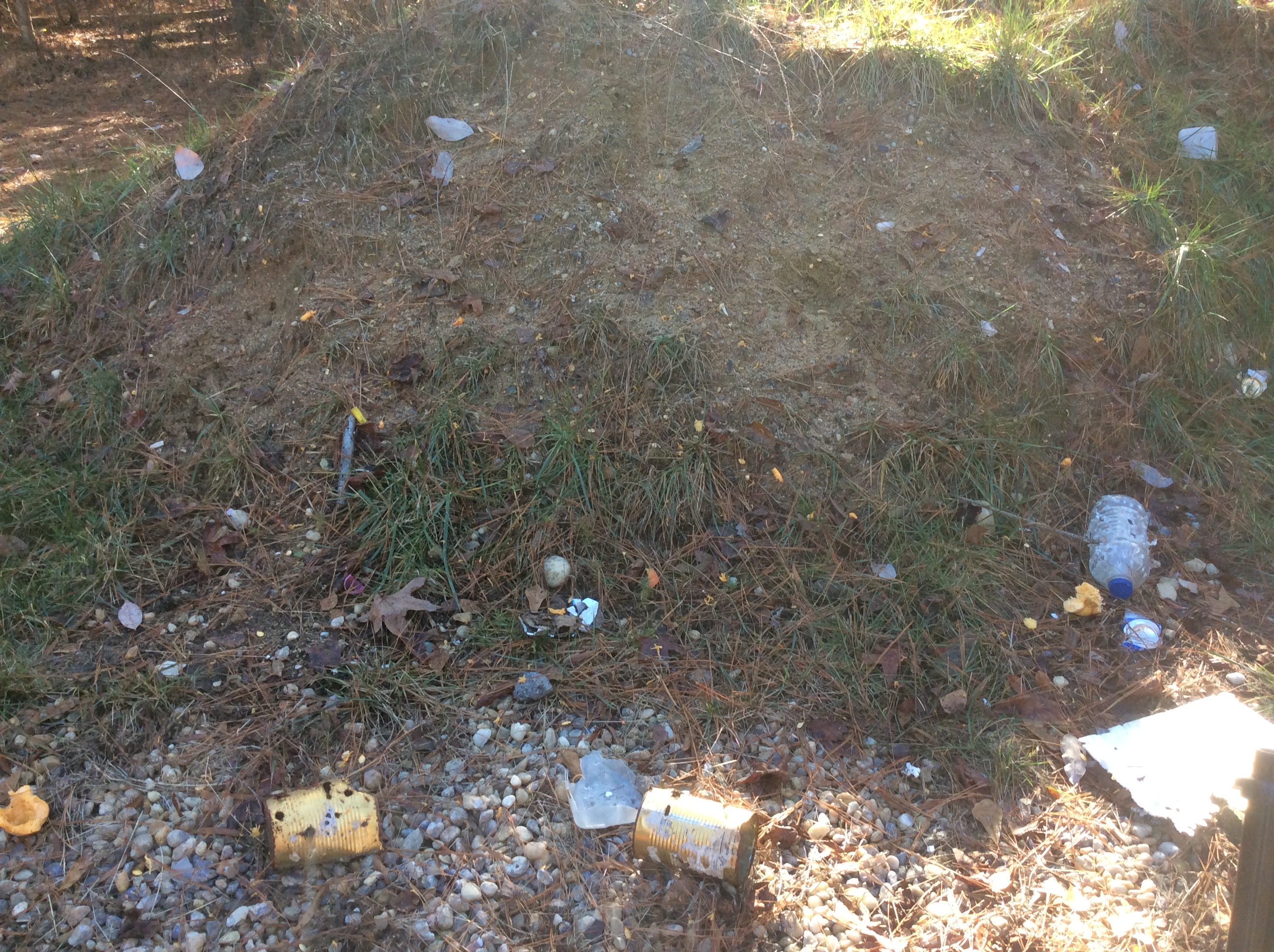 scattered pumpkin bits