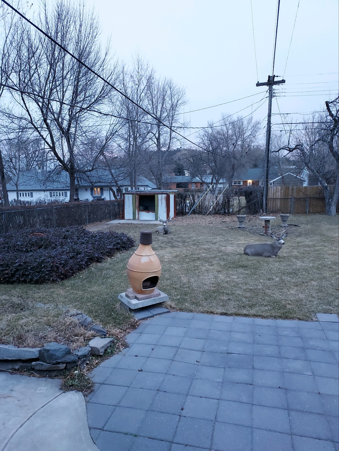 output_image1703546300180.jpeg