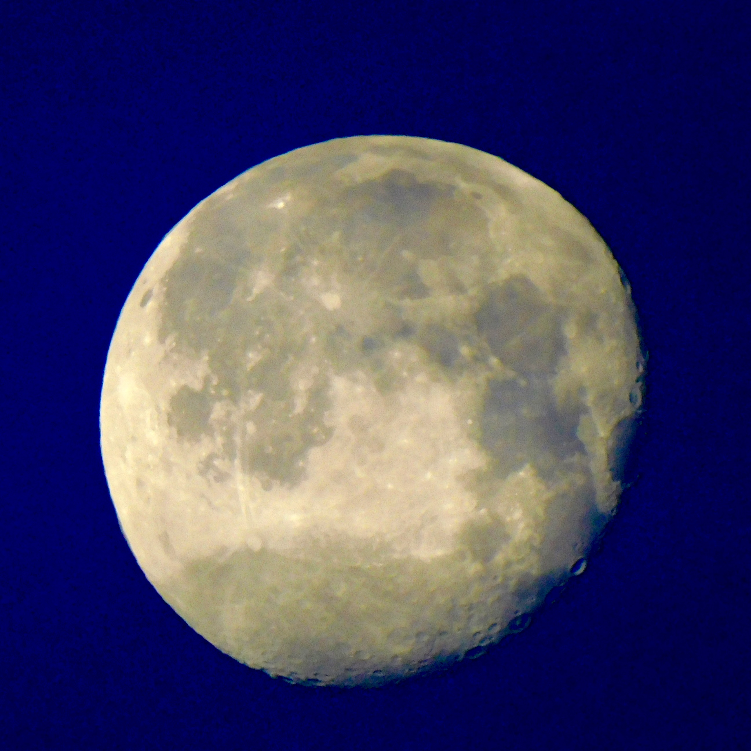 BA1627AE-1775-4A96-BA7F-1702263C4416.jpeg