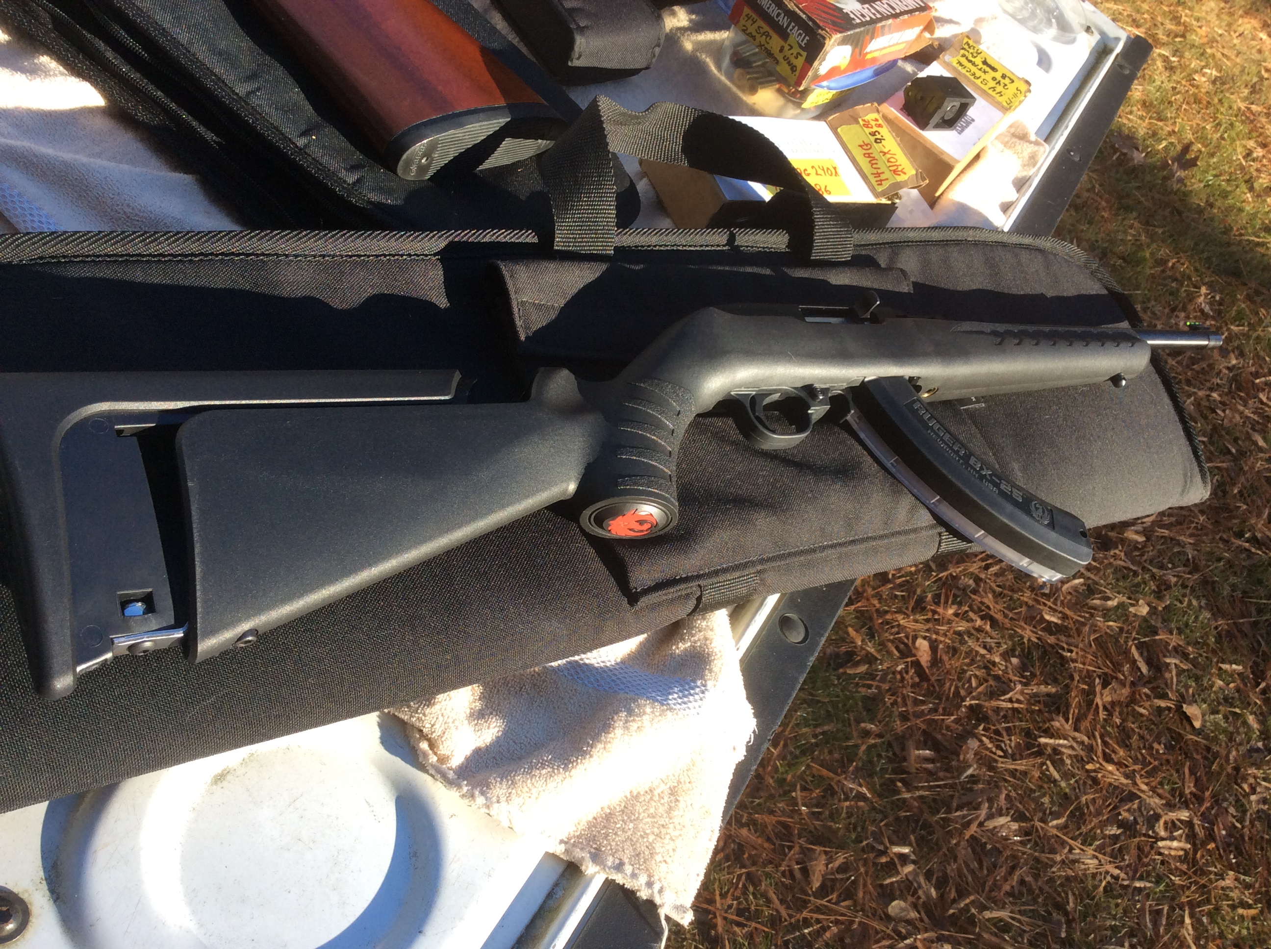 Ruger 10/22 Compact with 14 inch LOP setup