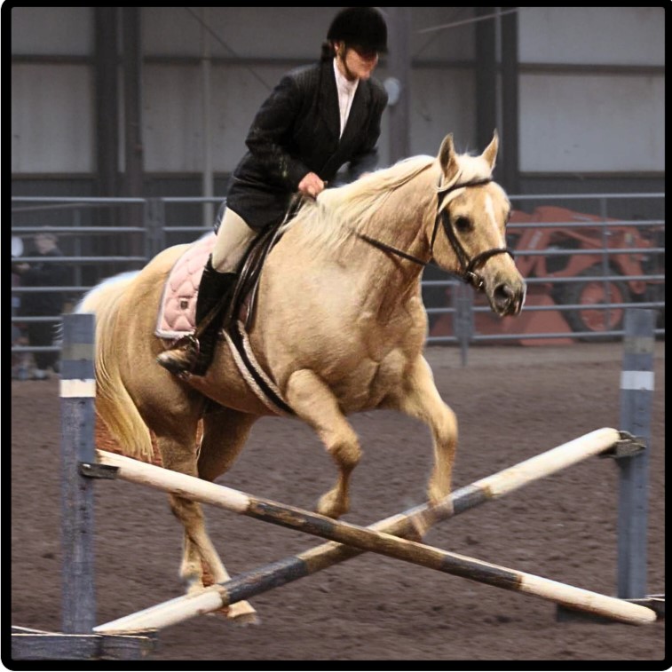 Jumping her.jpg